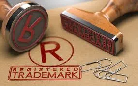 Trademark & Intellectual Property
